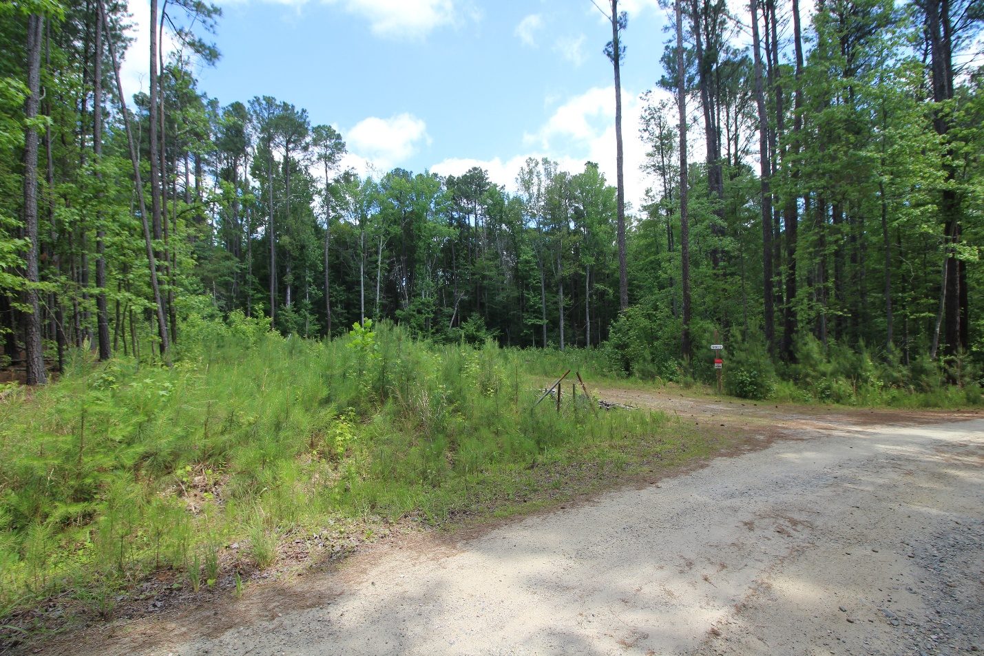 Cleared homesite
