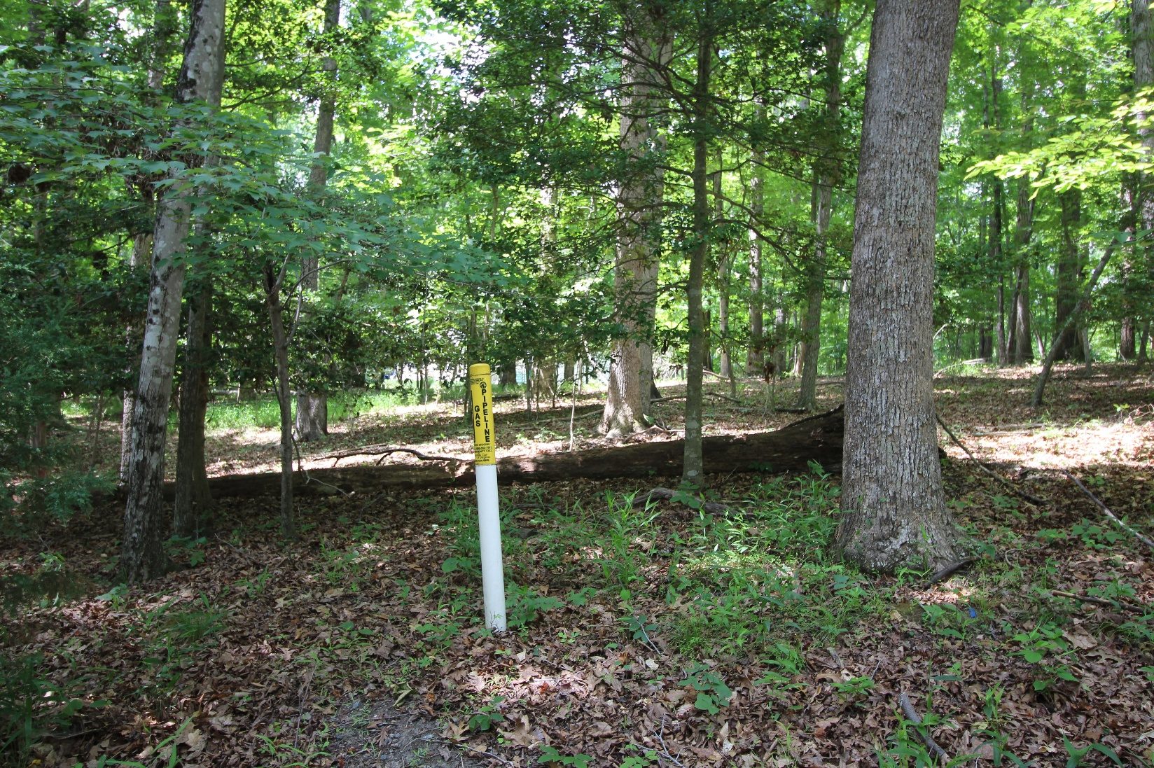 Mature hardwood homesite